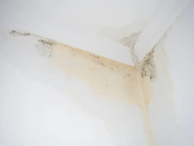 Essential Steps For A Successful Roof Leak Repair Process Toms River NJ