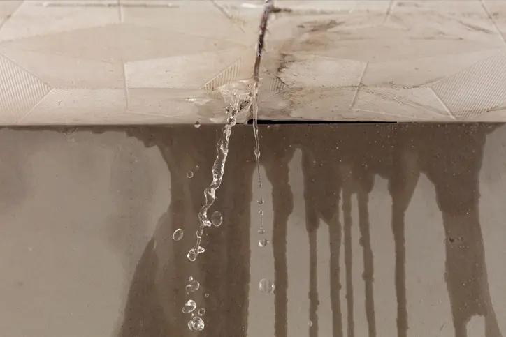 Premium Roof Leak Repair Toms River NJ